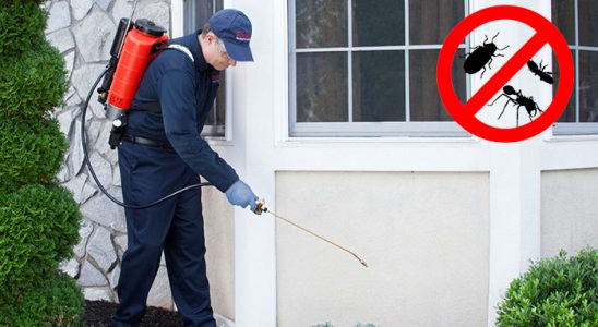 Dikili Böcek İlaçlama böcek ilaçlama ve haşere kontrolü — ilaclama-tr.com